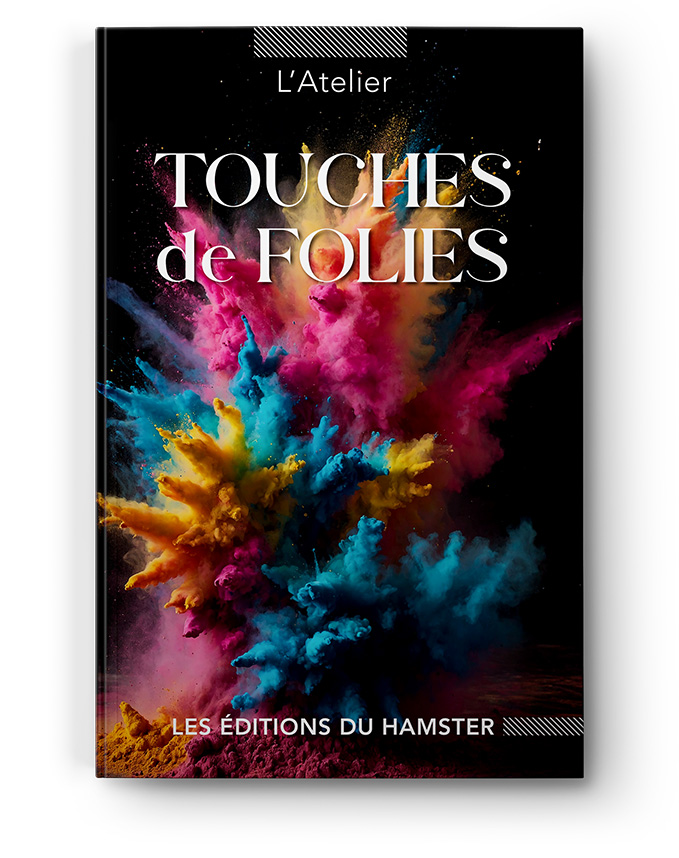 Touches de folies www.editionsduhamster.eu